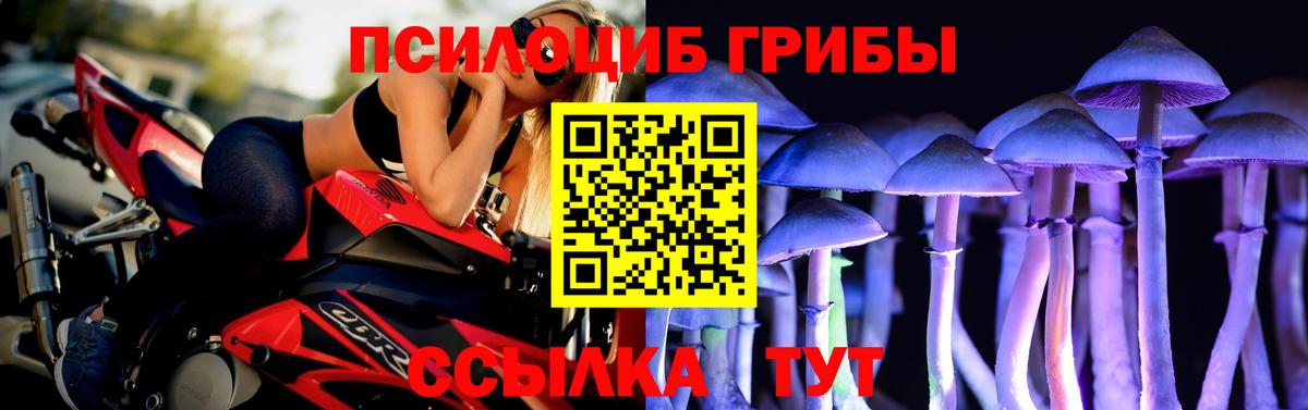 Галлюциногенные грибы ЛСД  где можно купить наркотик  Миллерово  Вход с VPN 